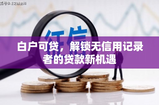 无极白户可贷，解锁无信用记录者的贷款新机遇
