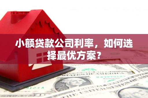 无极小额贷款公司利率，如何选择最优方案？