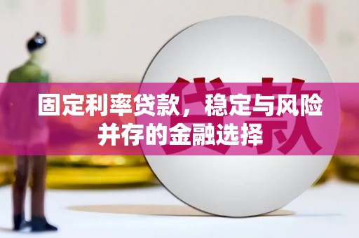 无极固定利率贷款，稳定与风险并存的金融选择