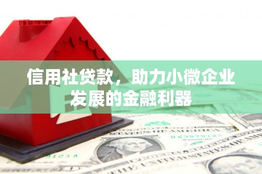 无极信用社贷款，助力小微企业发展的金融利器
