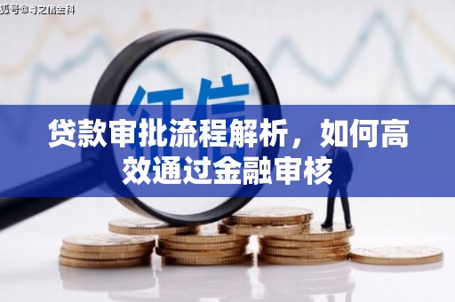 无极贷款审批流程解析，如何高效通过金融审核