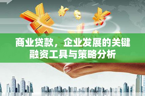 无极商业贷款，企业发展的关键融资工具与策略分析