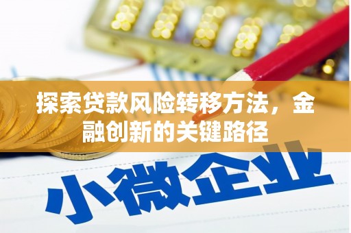 无极探索贷款风险转移方法，金融创新的关键路径