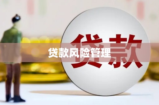 无极贷款风险管理