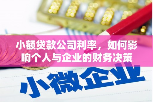 无极小额贷款公司利率，如何影响个人与企业的财务决策