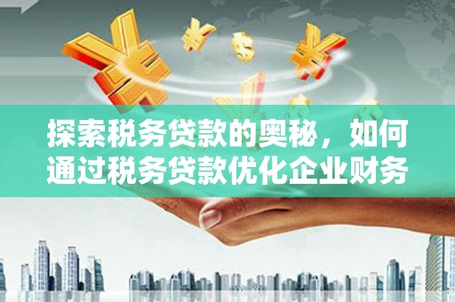 无极探索税务贷款的奥秘，如何通过税务贷款优化企业财务