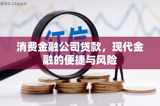 无极消费金融公司贷款，现代金融的便捷与风险
