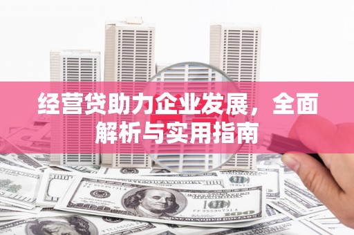 无极经营贷助力企业发展，全面解析与实用指南