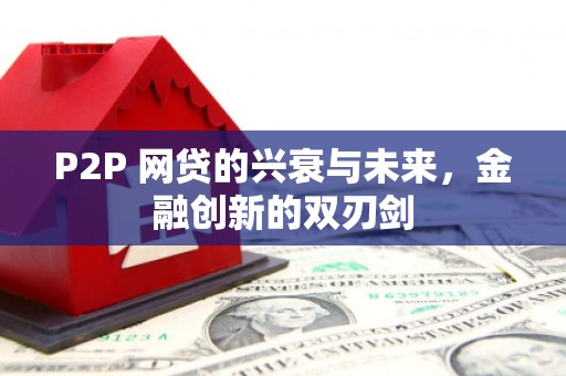 无极P2P 网贷的兴衰与未来，金融创新的双刃剑