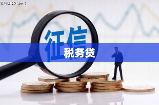 无极税务贷