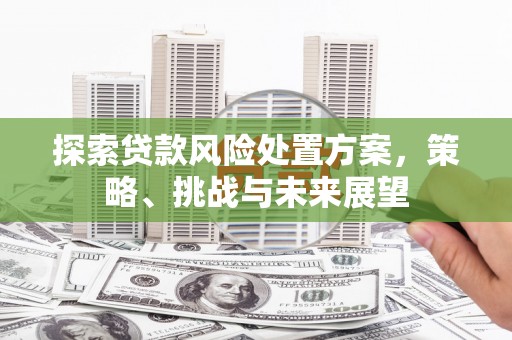 无极探索贷款风险处置方案，策略、挑战与未来展望