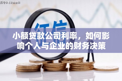 无极小额贷款公司利率，如何影响个人与企业的财务决策