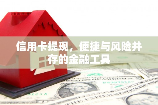 无极信用卡提现，便捷与风险并存的金融工具