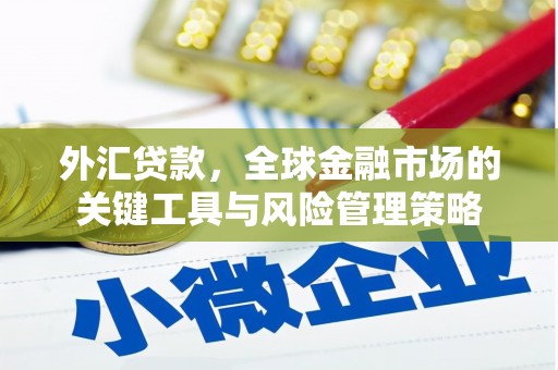 无极外汇贷款，全球金融市场的关键工具与风险管理策略