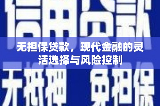 无极无担保贷款，现代金融的灵活选择与风险控制