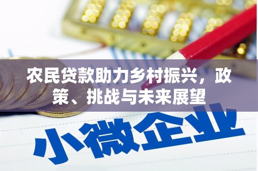 无极农民贷款助力乡村振兴，政策、挑战与未来展望