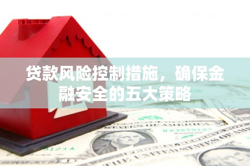 无极贷款风险控制措施，确保金融安全的五大策略