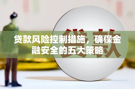 无极贷款风险控制措施，确保金融安全的五大策略