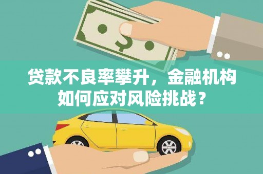 无极贷款不良率攀升，金融机构如何应对风险挑战？