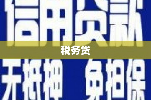 无极税务贷