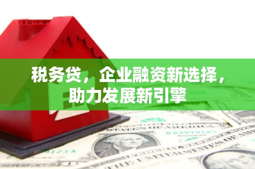 无极税务贷，企业融资新选择，助力发展新引擎