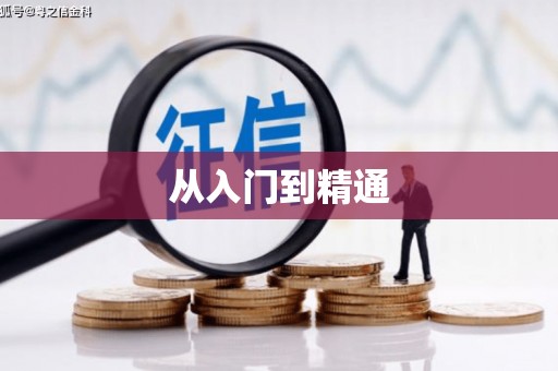 无极从入门到精通