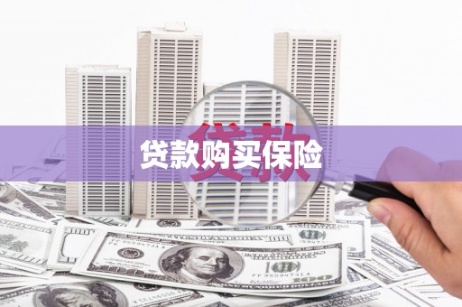 无极贷款购买保险