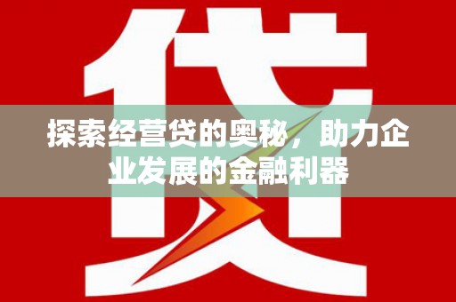 无极探索经营贷的奥秘，助力企业发展的金融利器