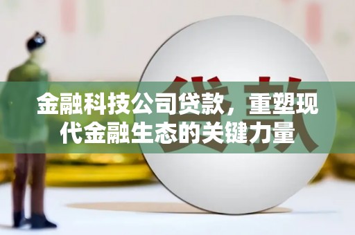 无极金融科技公司贷款，重塑现代金融生态的关键力量