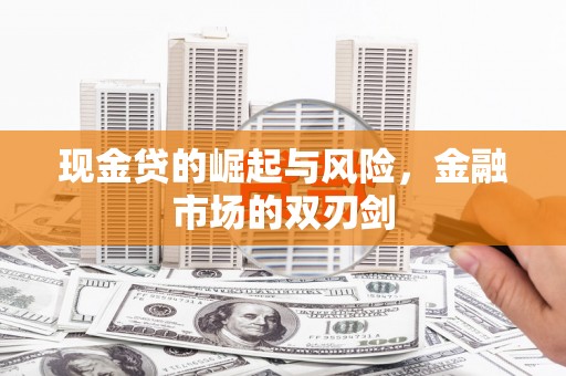 无极现金贷的崛起与风险，金融市场的双刃剑