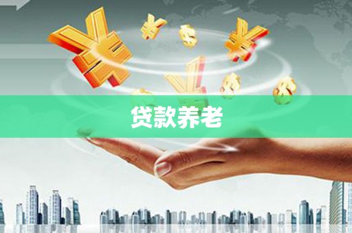 无极贷款养老