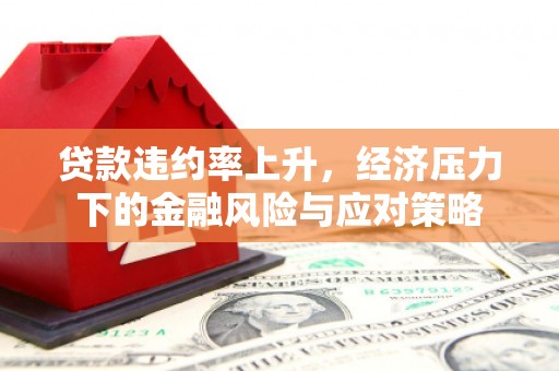 无极贷款违约率上升，经济压力下的金融风险与应对策略