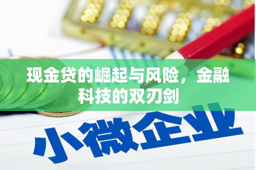 无极现金贷的崛起与风险，金融科技的双刃剑