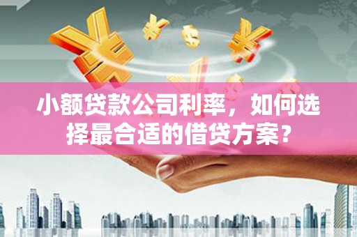 无极小额贷款公司利率，如何选择最合适的借贷方案？