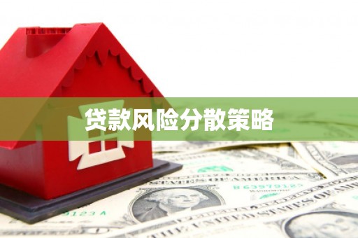 无极贷款风险分散策略