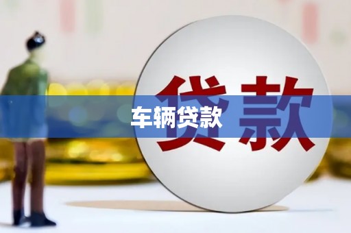 无极车辆贷款