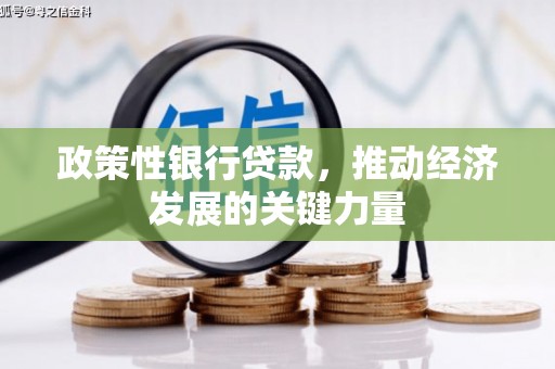 无极政策性银行贷款，推动经济发展的关键力量