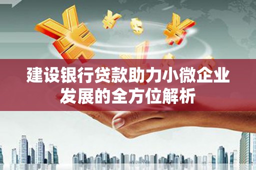 无极建设银行贷款助力小微企业发展的全方位解析