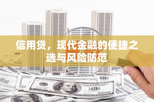无极信用贷，现代金融的便捷之选与风险防范