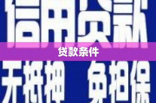 无极贷款条件