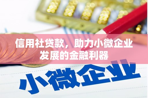 无极信用社贷款，助力小微企业发展的金融利器