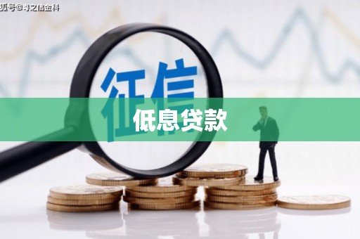 无极低息贷款