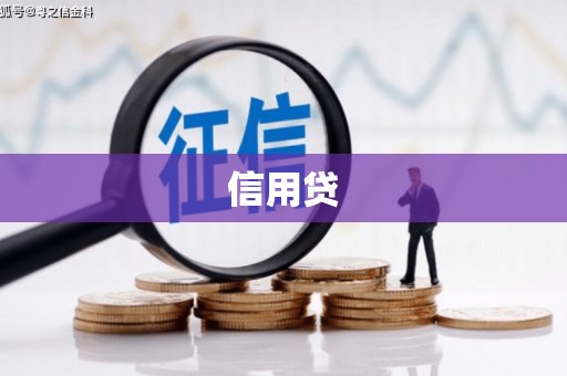 无极信用贷