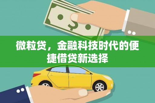 无极微粒贷，金融科技时代的便捷借贷新选择