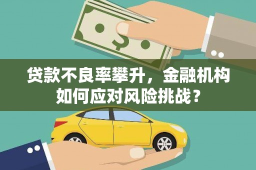 无极贷款不良率攀升，金融机构如何应对风险挑战？