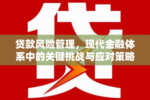 无极贷款风险管理，现代金融体系中的关键挑战与应对策略