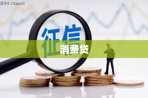 无极消费贷
