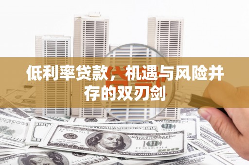 无极低利率贷款，机遇与风险并存的双刃剑