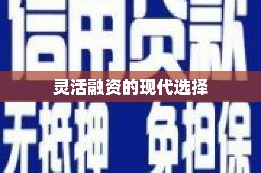 无极灵活融资的现代选择