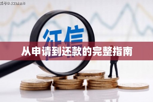 无极从申请到还款的完整指南